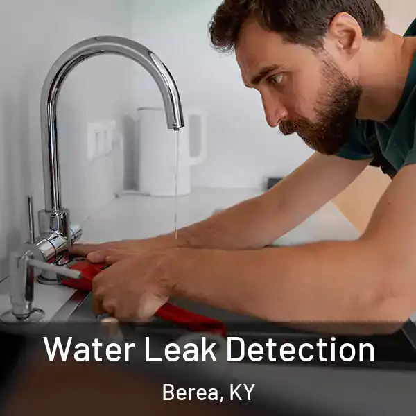  Water Leak Detection Berea, KY